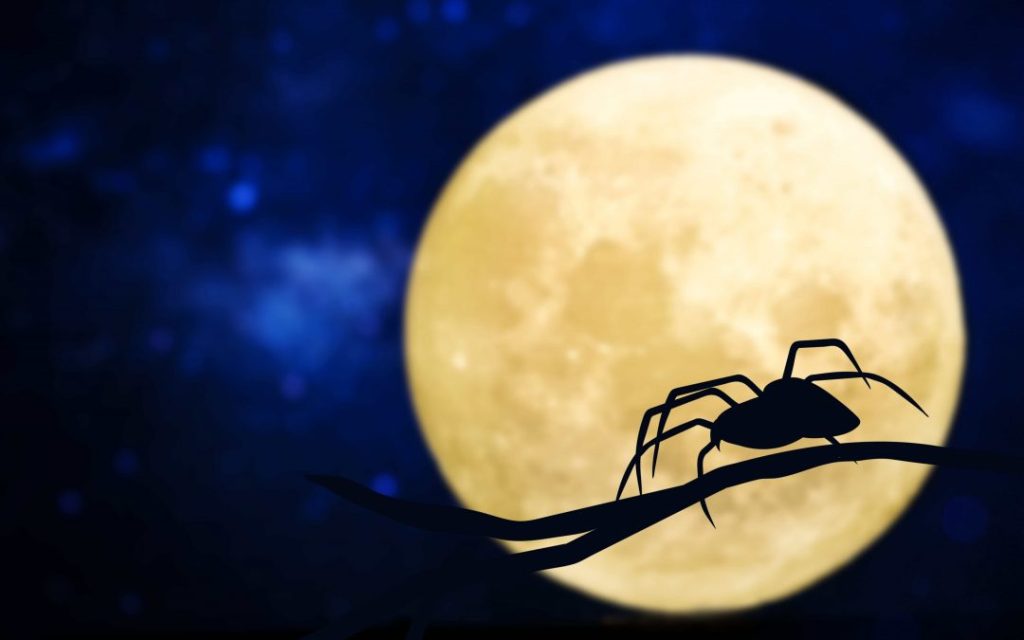 The 3 Types of Fear Psychology: Rational, Primal, and Irrational Fears