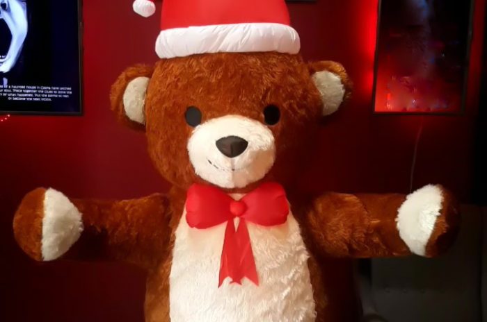 Support-bear_edited-2-e1573760521246